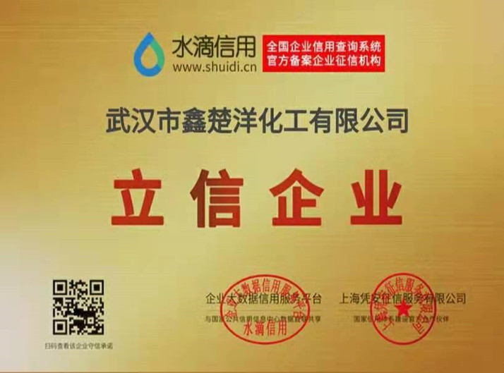 俄罗斯专享会294VIP公司荣誉